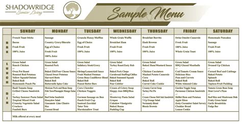 assisted living menus for elderly in care homes